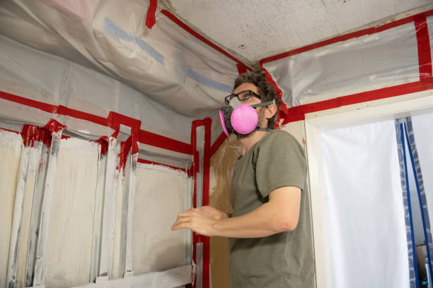 Professional Mold Removal in Beechwood Village, KY