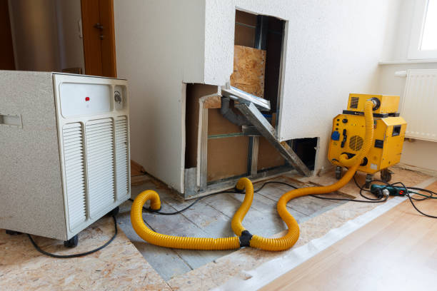  Beechwood Village, KY Mold Removal Pros