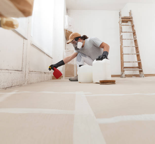 Best Black Mold Removal  in Beechwood Village, KY