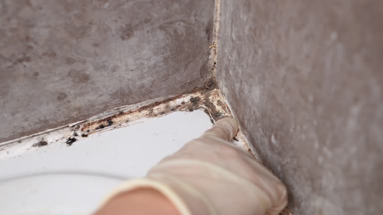 Dehumidification Services in Beechwood Village, KY
